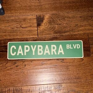 Green Capybara Blvd Street Sign

Amazing condition!